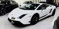 Lamborghini Gallardo Gallardo Coupe 5.0 superleggera Bianco - thumbnail 2