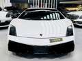Lamborghini Gallardo Gallardo Coupe 5.0 superleggera Bianco - thumbnail 5