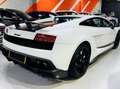Lamborghini Gallardo Gallardo Coupe 5.0 superleggera Bianco - thumbnail 3