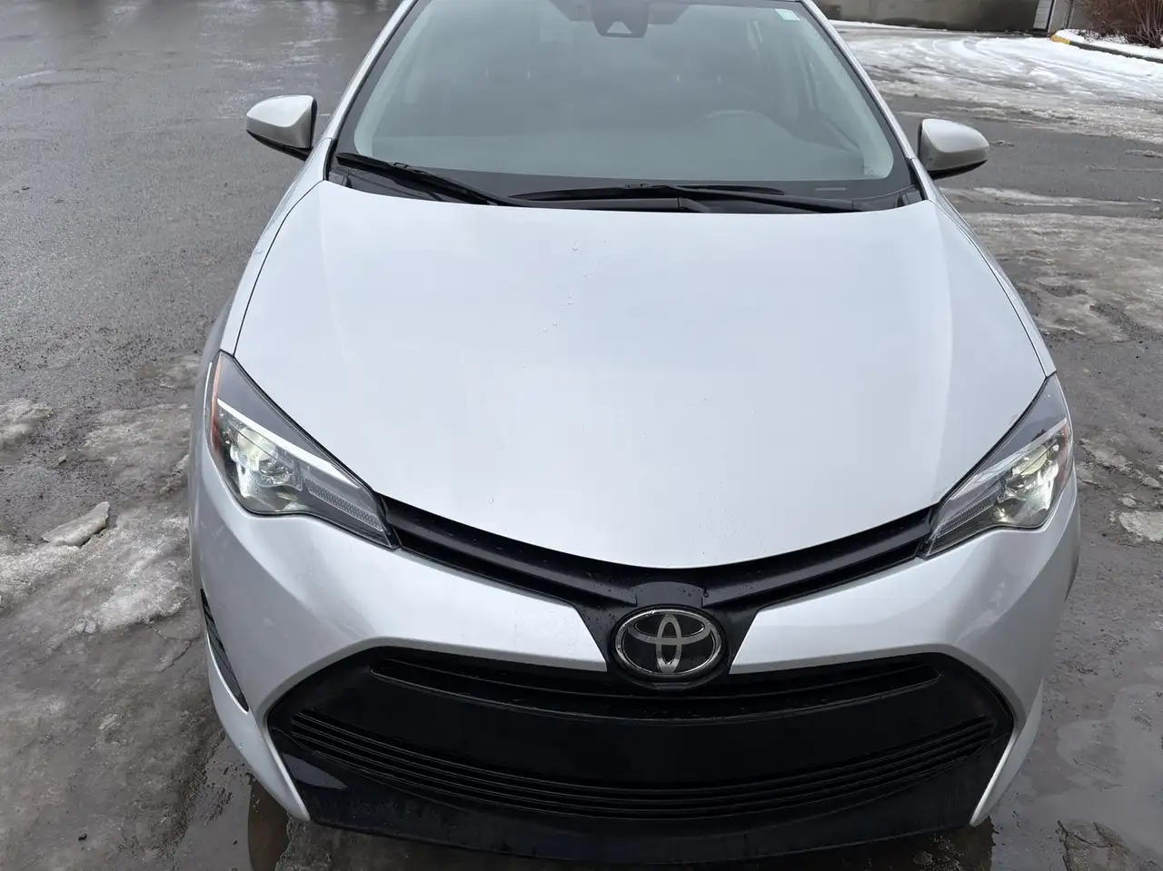 Toyota Corolla снимка Toyota Corolla