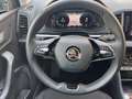 Skoda Karoq Selection 2,0 TDI 110 kW DSG 4x4 Grau - thumbnail 7