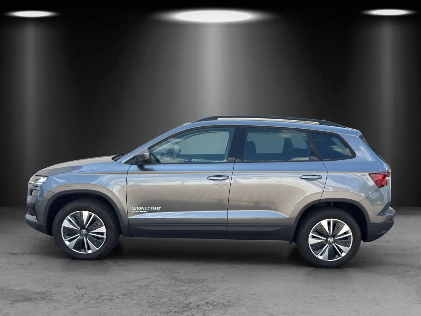 Skoda Karoq Selection 2,0 TDI 110 kW DSG 4x4 Grau - 2