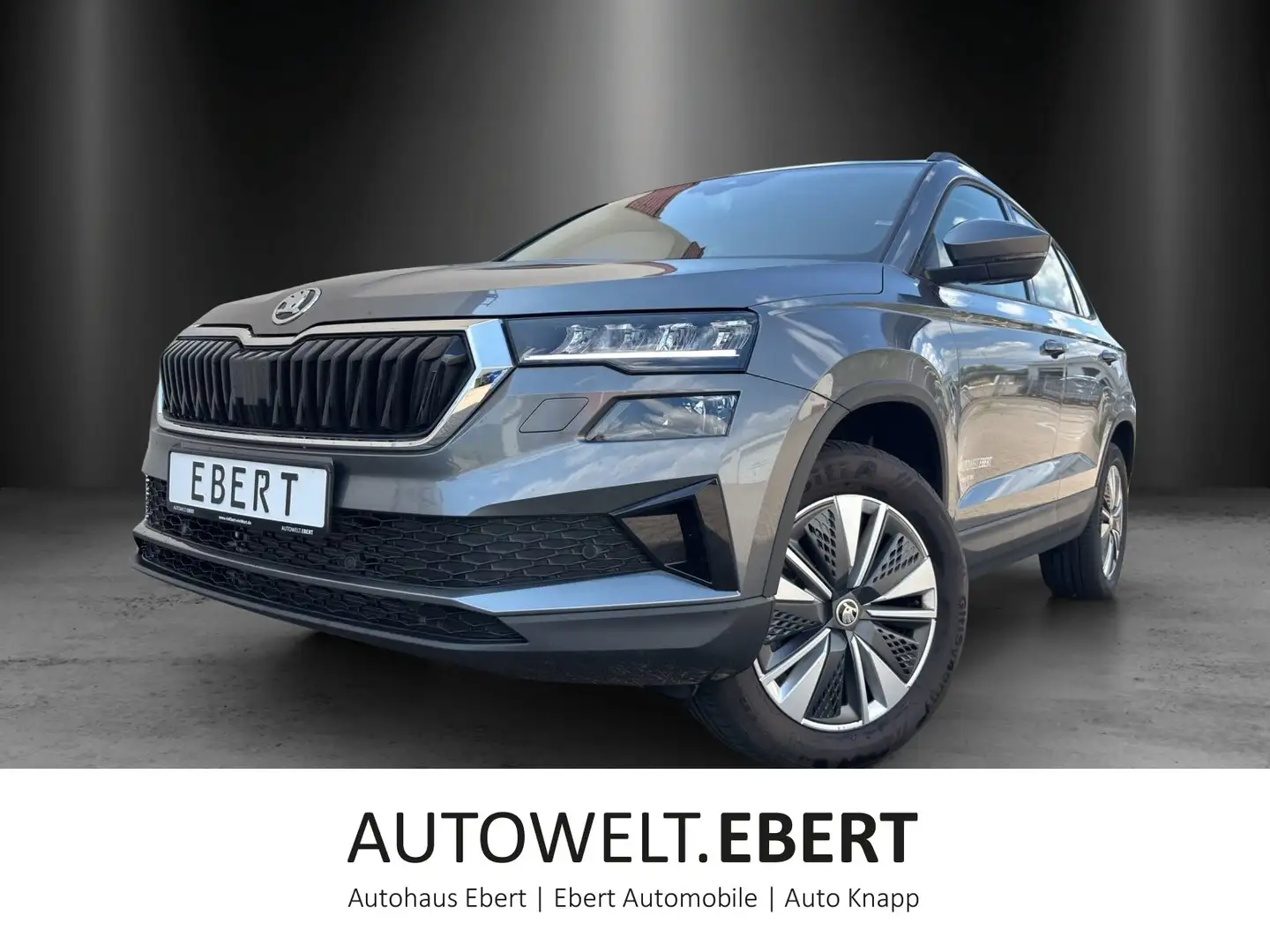 Skoda Karoq Selection 2,0 TDI 110 kW DSG 4x4 Grau - 1