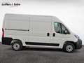 Toyota Proace Max 2.2-l-D 35 L2H2 Meister Bílá - thumbnail 6