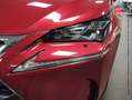 Lexus NX 300h 300h 4WD Executive Touvrant Sieges chauf/ventil/cuir Camera HUD Attelage Rouge - thumbnail 13