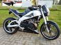 Buell XB 9 S Lightning  2003  "das Original"   ÖPR-Check Negru - thumbnail 1