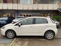 Fiat Punto PUNTO STREET 1.4 EASYPOWER GPL 77cv - IMM. 05/2015 Blanc - thumbnail 3
