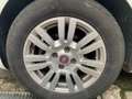 Fiat Punto PUNTO STREET 1.4 EASYPOWER GPL 77cv - IMM. 05/2015 Blanc - thumbnail 13