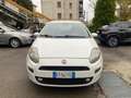 Fiat Punto PUNTO STREET 1.4 EASYPOWER GPL 77cv - IMM. 05/2015 Blanc - thumbnail 1