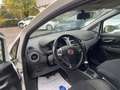 Fiat Punto PUNTO STREET 1.4 EASYPOWER GPL 77cv - IMM. 05/2015 Blanc - thumbnail 7