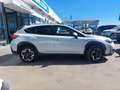 Subaru XV 2.0i Hybrid Executive Plus CVT Blanco - thumbnail 8