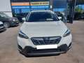 Subaru XV 2.0i Hybrid Executive Plus CVT Blanco - thumbnail 2