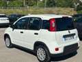 Fiat Panda 1.0 VAN hybrid iva compresa - thumbnail 3