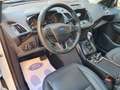 Ford Kuga 2.0TDCI Auto S&S Titanium 4x4 Aut. 150 Blanc - thumbnail 7