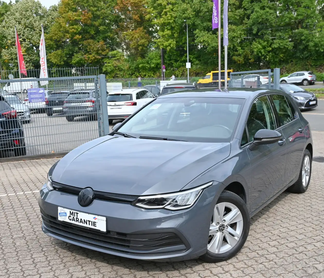 Volkswagen Golf VIII Lim. 1.5 TSI Life PDC LED PDC Sitzhz Gris - 2