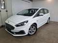 Ford S-Max 2.0 EcoBlue Titanium Aut. AHK, ACC, LED, W-Paket Weiß - thumbnail 1