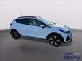 Ford Fiesta Active 1.0 Ecoboost Hybrid 125 CV DCT 5 porte Blanc - thumbnail 4