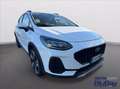 Ford Fiesta Active 1.0 Ecoboost Hybrid 125 CV DCT 5 porte Blanc - thumbnail 3