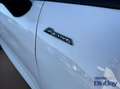 Ford Fiesta Active 1.0 Ecoboost Hybrid 125 CV DCT 5 porte Blanc - thumbnail 22