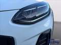 Ford Fiesta Active 1.0 Ecoboost Hybrid 125 CV DCT 5 porte Blanc - thumbnail 21