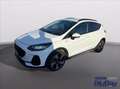 Ford Fiesta Active 1.0 Ecoboost Hybrid 125 CV DCT 5 porte Blanc - thumbnail 12