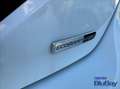 Ford Fiesta Active 1.0 Ecoboost Hybrid 125 CV DCT 5 porte Blanc - thumbnail 26
