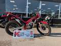 Gas Gas Rouge - thumbnail 3