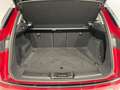 Land Rover Range Rover Evoque SE 163cv Rosso - thumbnail 11