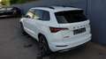 Skoda Karoq 2.0 TDI DSG 4x4 SPORTLINE *Facelfift* Pano Wit - thumbnail 4