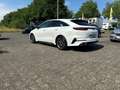 Kia ProCeed / pro_cee'd 1.6 CRDi GT-Line El. Panodach Navi Leder Memory Si Weiß - thumbnail 6