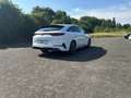 Kia ProCeed / pro_cee'd 1.6 CRDi GT-Line El. Panodach Navi Leder Memory Si Weiß - thumbnail 7