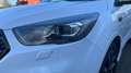 Ford Kuga 2.0 TDCI 110KW ST-LINE 2WD 150CV 5P Wit - thumbnail 18