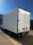 Ford Transit FT 350 L2 Chasis Ambiente Tr. Tra. 125 Blanco - thumbnail 5