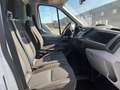Ford Transit FT 350 L2 Chasis Ambiente Tr. Tra. 125 Blanco - thumbnail 8