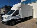 Ford Transit FT 350 L2 Chasis Ambiente Tr. Tra. 125 Blanco - thumbnail 3