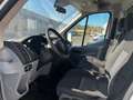 Ford Transit FT 350 L2 Chasis Ambiente Tr. Tra. 125 Blanco - thumbnail 9