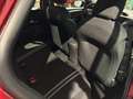 Opel Corsa Corsa 1.2 Edition  - Offerta pronta consegna - thumbnail 6