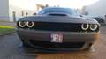 Dodge Challenger Challenger Automatik SXT Plus Gris - thumbnail 5