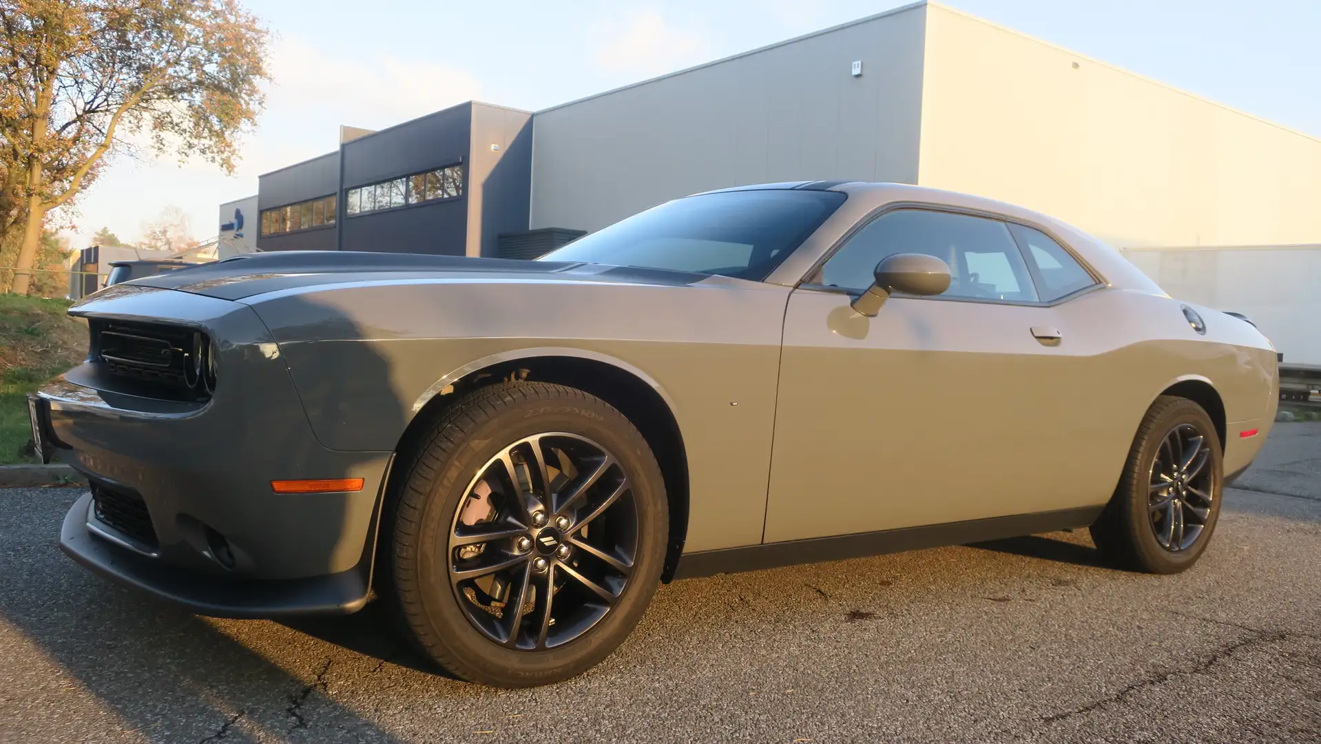 Dodge Challenger Challenger Automatik SXT Plus Gris - 1