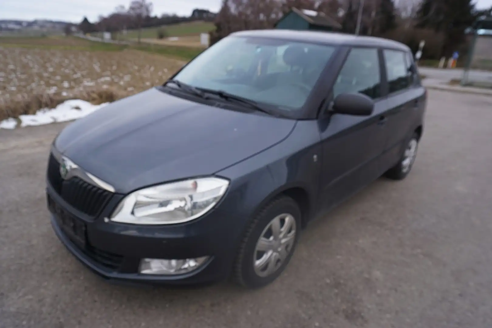 Skoda Fabia Active 1,2 TSI Grau - 1
