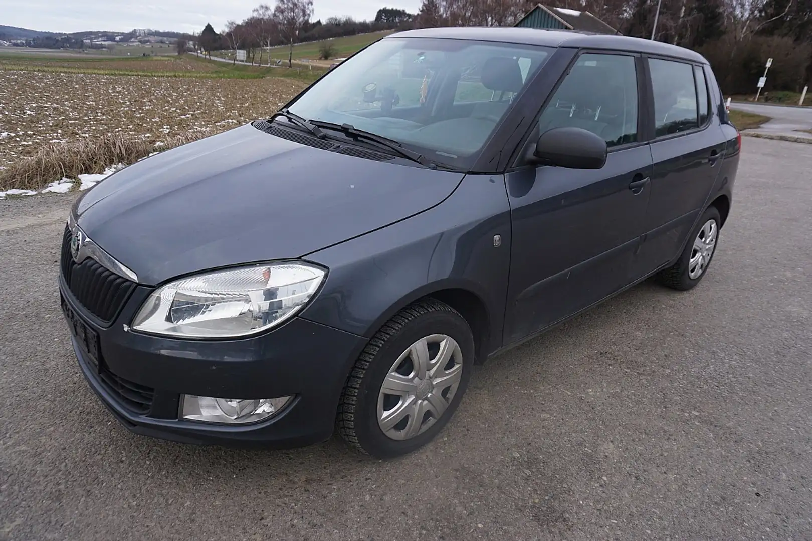 Skoda Fabia Active 1,2 TSI Grau - 2