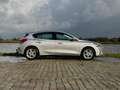 Ford Focus 1.0 EcoBoost Trend Edition Business|Cruise|Carplay Grijs - thumbnail 6