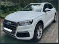 Audi Q5 Q5 Sport 40 TDI quattro S tronic Weiß - thumbnail 2