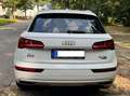 Audi Q5 Q5 Sport 40 TDI quattro S tronic Weiß - thumbnail 3