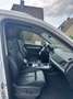 Audi Q5 Q5 Sport 40 TDI quattro S tronic Weiß - thumbnail 8