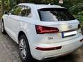 Audi Q5 Q5 Sport 40 TDI quattro S tronic Weiß - thumbnail 1