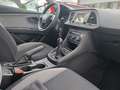 SEAT Leon Reference -WenigKm/S-Heft- Weiß - thumbnail 9