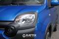 Fiat Panda Pandina 1.0 Firefly Hybrid 70CV Cross Blu/Azzurro - thumbnail 3