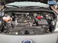 Ford Kuga Titanium Titanium1,5 Ltr. - 110 kW EcoBoost WIP... Grau - thumbnail 9