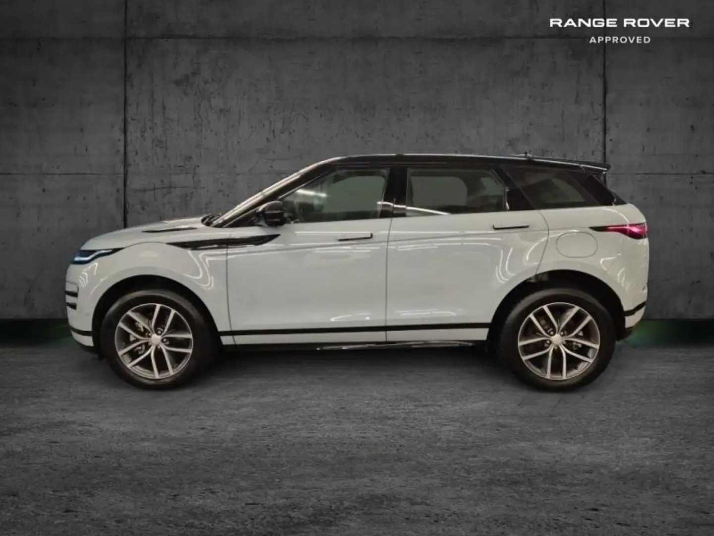 Land Rover Range Rover Evoque 1.5 P300e 309ch Dynamic SE Gris - 2